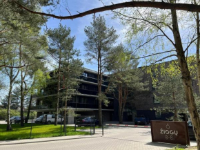Teko Apartments 2